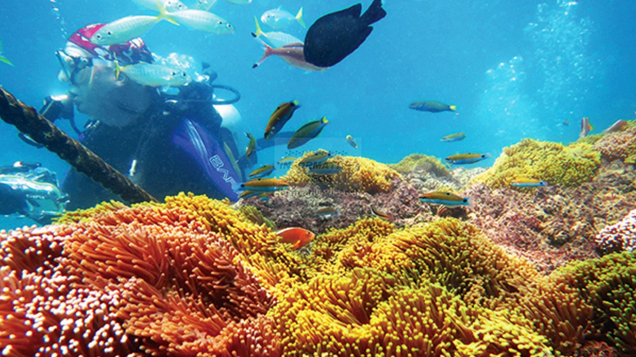 A Trip to Thailand - Top 25 Places to Visit in Thailand [Part 2] - A Tour Through Images - THAILAND