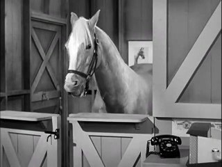 Mister Ed S01E24 - The Contest
