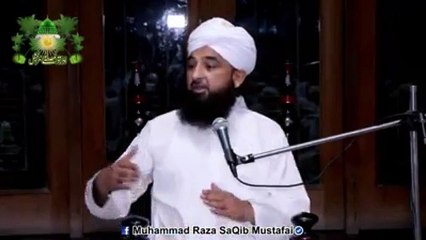 Muhammad Raza Saqib Mustafai (413)