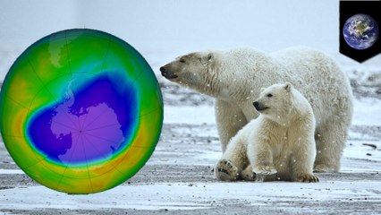 Experts think someone is making a banned ozone-harming chemical