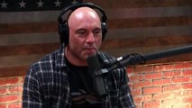 Joe Rogan SHOCKED By Hitler Conspiracy Theory