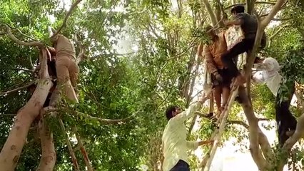 अधिकारियों ने नहीं सुनी तो पेड़ पर चढ़ गई महिला, उतारने में पस्त हुई पुलिस