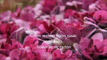 Cómo realizar flores rosas con hueveras de cartón recicladas - How to make flowers with egg cartons
