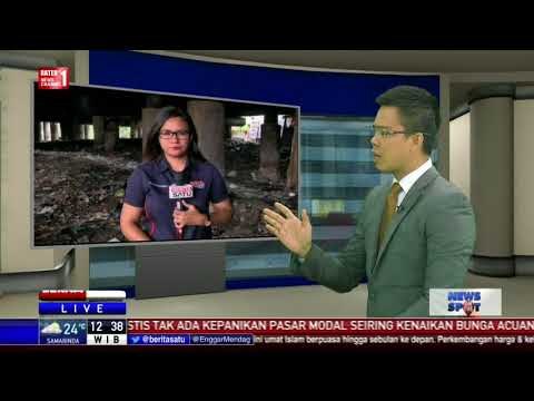 Pembersihan Sampah di Kolong Tol Tanjung Priok Dihentikan