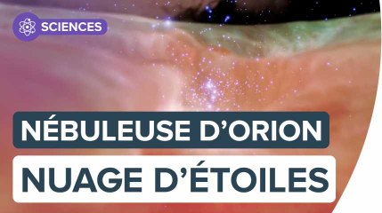 Nébuleuse d'Orion, un nuage rempli d'étoiles