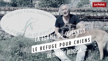 La ferme du Quesnoy : le refuge pour chiens de Thierry Bedossa