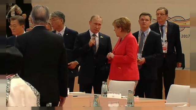 Incontro bilaterale a Sochi Merkel-Putin: i temi sul tavolo