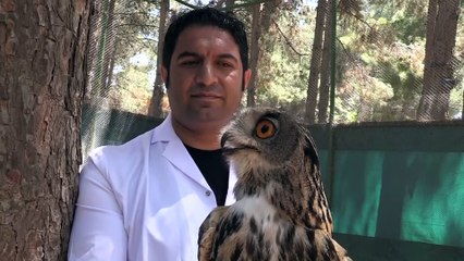 Yırtıcı hayvanların 'şifacısı' - ŞANLIURFA