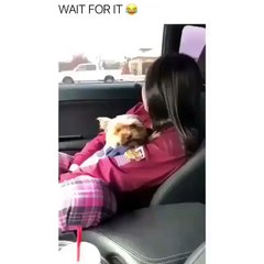 Have u smiled today-!