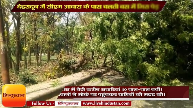 देहरादून में सीएम आवास के पास चलती बस में गिरा पेड़, ऐसी बची 40 सवारियों की जान
