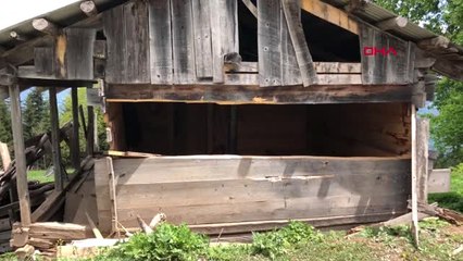 Artvin-Şavşat'ta Ayılar, 20 Yayla Evine Hasar Verdi-Hd