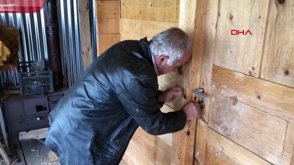 Şavşat´ta ayılar, 20 yayla evine talan etti