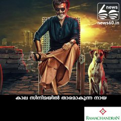 Mani: the star dog with super star Rajani kanth