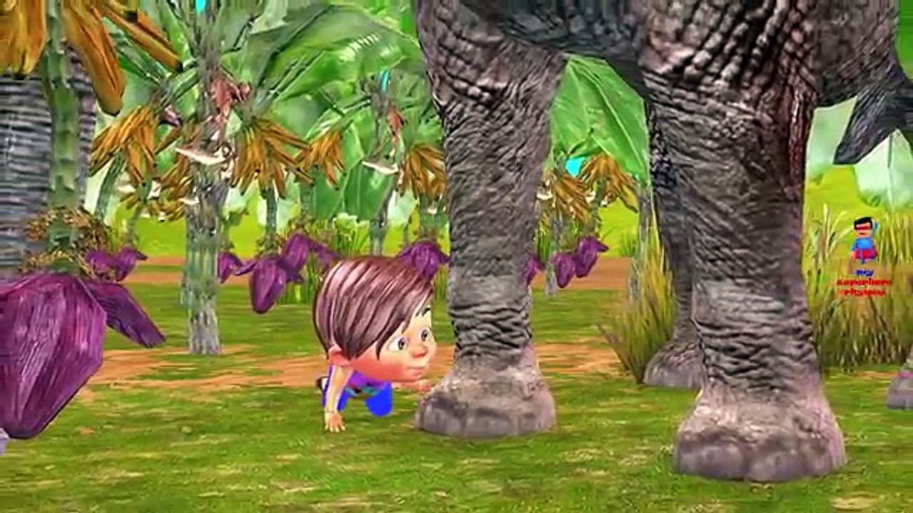 Funny Bunny Plays Peek A Boo