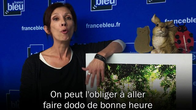 J'y crois pas ! Pour se désintoxiquer d'internet, le smartphone