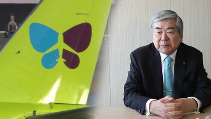 조양호 회장, 직책 없이 결재...공정위 진에어 조사 / YTN