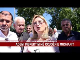 ADEMI INSPEKTIM NË RRUGËN E MUSHANIT