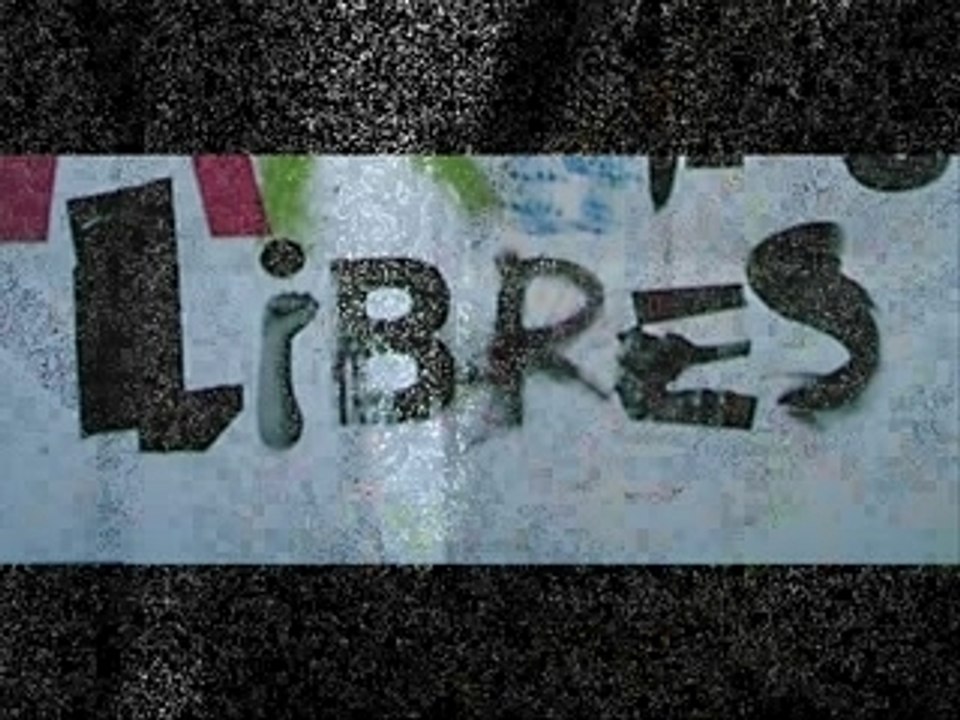 Les Crétins, Le Film Final