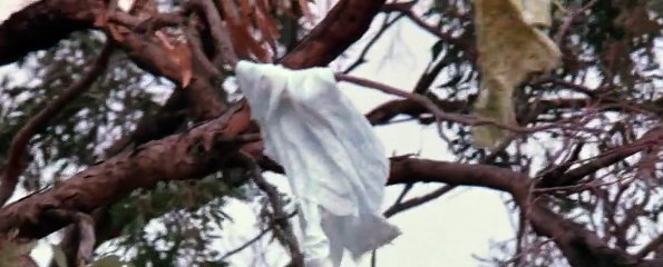 the survivor 1981 480p bluray    Part 01