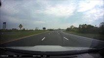 Une mouette lâche une coquillage sur le pare-brise d'une voiture et le brise