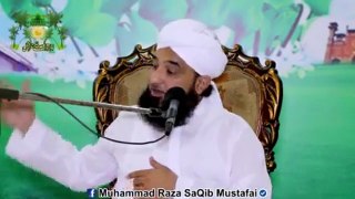 Muhammad Raza Saqib Mustafai (426)