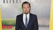 Leonardo DiCaprio to re-team with Steven Spielberg?