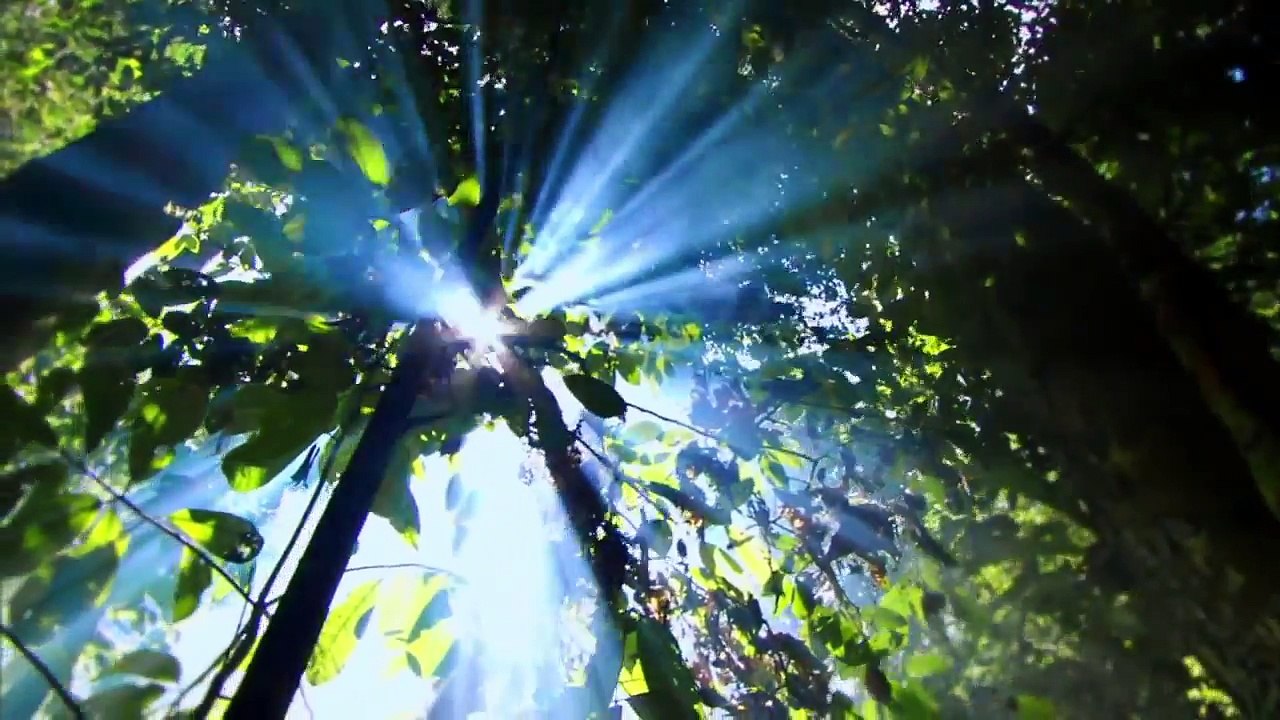 Nature Doesn’t Need Humans - Humans Need Nature! (1)