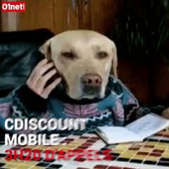 Comment choisir votre forfait mobile à moins de 5 euros ?