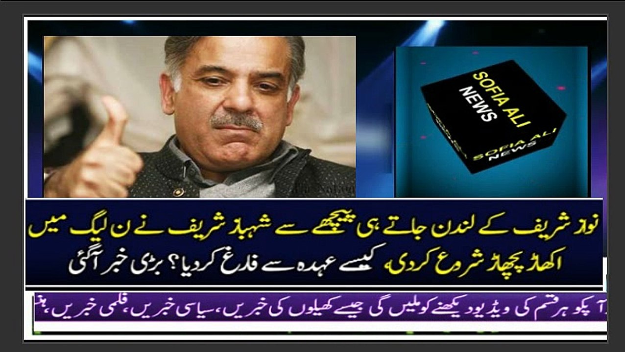 Shahbaz Sharif ny kis ko party sy nikal dya