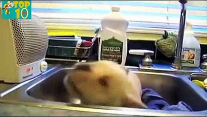 카지노사이트- ( ＠【 CArd328。CoM 】＠) -카지노사이트