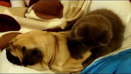 온라인카지노사이트- ( ＠【 CArd328。CoM 】＠) -온라인카지노사이트