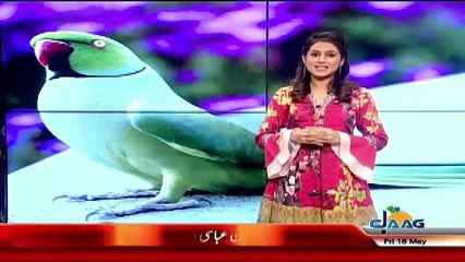 Dunya Jahan On Jaag Tv   – 18th May 2018