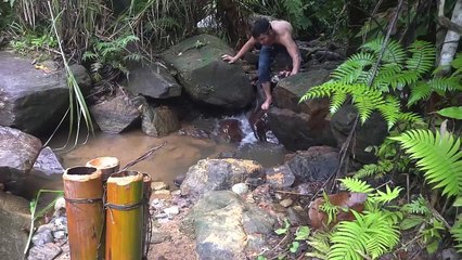 Primitive Technology - Getting in the crab and turtles jungle is fun - Head Wilderness
