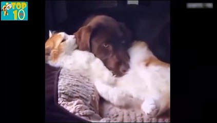 랄이브카지노사이트- ( ＠【 CArd328。CoM 】＠) -랄이브카지노사이트