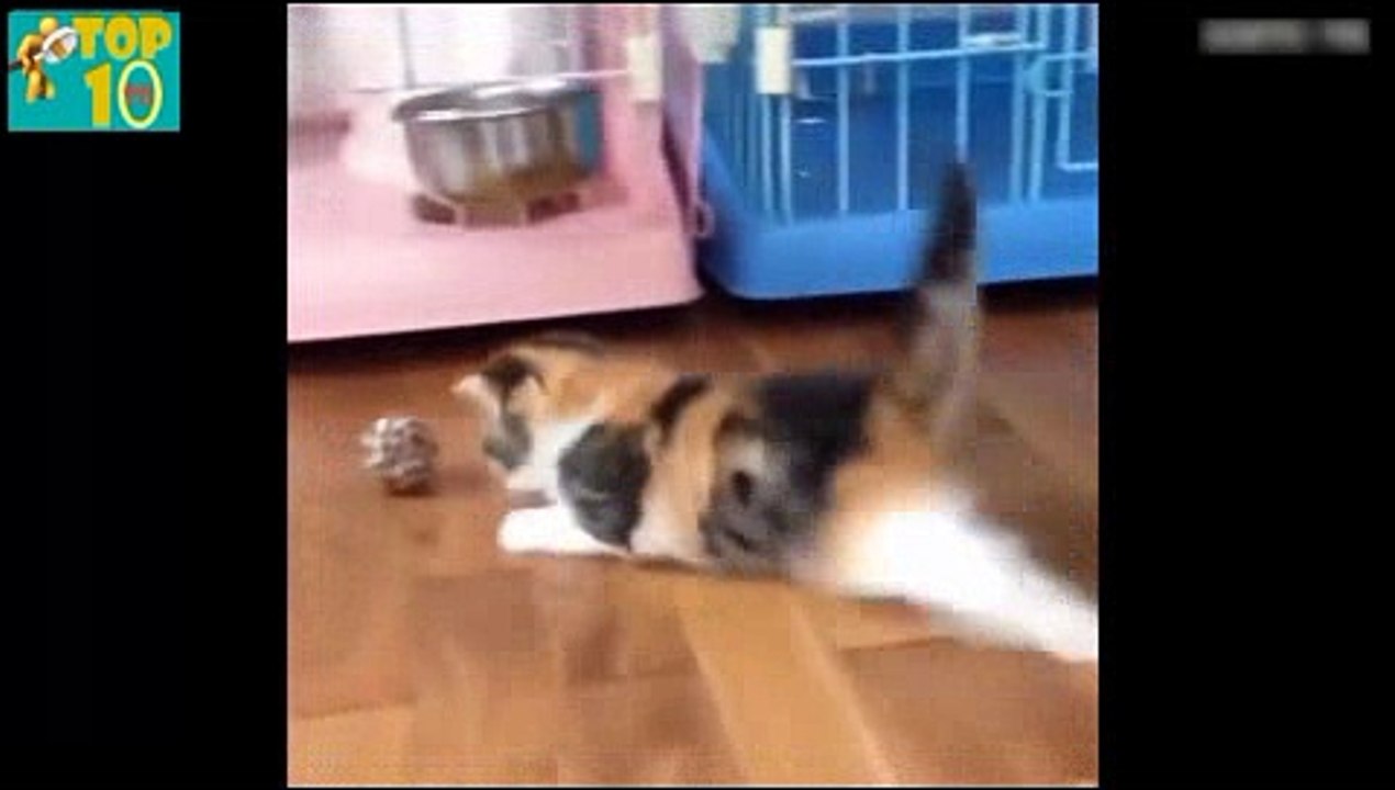 실시간카지노- ( ＠【 CArd328。CoM 】＠) -실시간카지노 실시간카지노