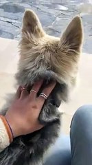 Hunza, Pakistan Rate this view From 1 to 10 in the Comments