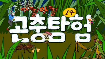 곤충탐험 #14 꿀벌 vs. 장수말벌 전투 | Honey bee vs. Vespa mandarina | Insects adventure for kids animation