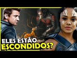 ONDE ESTÃO GAVIÃO ARQUEIRO, HOMEM FORMIGA E A VALKYRIA?