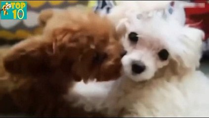 바카라온라인게임- ( ＠【 CArd328。CoM 】＠) -바카라온라인게임