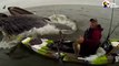 La surprise incroyable que va avoir ce kayakiste en pleine mer
