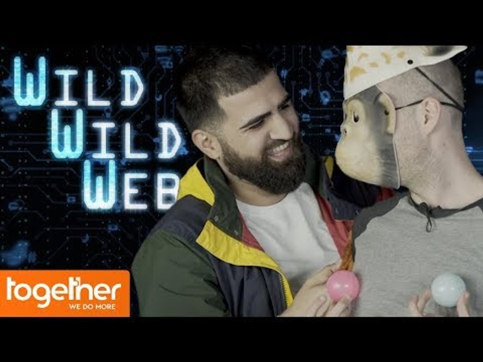 Wild Wild Web Episode 9