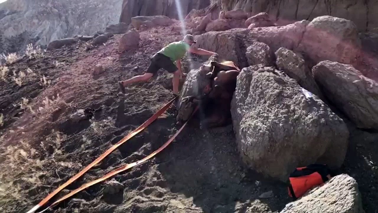 Rescuing Horse Stuck Between Rocks