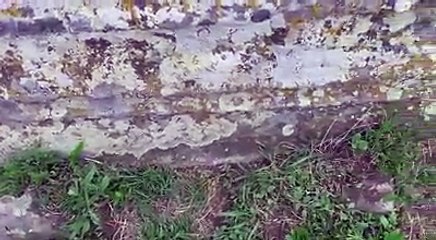 İşlem Yapılmamış Kaya Mezar CANLI