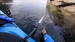Incredible moment seal enjoys being petted by British kayaker
