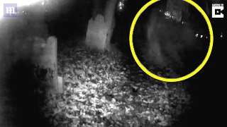 I vdekuri “del” nga varri, burri filmon momentin e frikshëm (video)