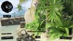 Black Ops 4 Gameplay - 47 Kill HIGHEST Killstreak AC-130 Multiplayer Gameplay!!! (Call of Duty BO4)