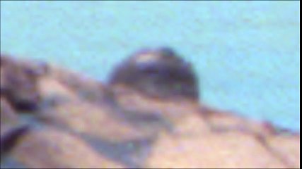 Strange Object found in Santa Maria crater on Mars