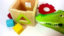 Learn SHAPES And COLORS With BLOCKS And Colored Balloon POPPING/Alligator Puppet /wooden shapes