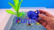 Learn Sea Animal Names, and colors and Counting numbers with Aqua Water Fish Toys Learning for Kids