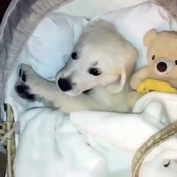 Bệnh sùi mào gà ở miệng